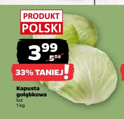 Kapusta gołąbkowa promocja w Netto