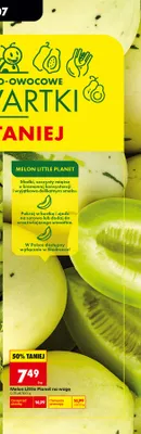 Melon Little Planet na wagę promocja w Biedronka