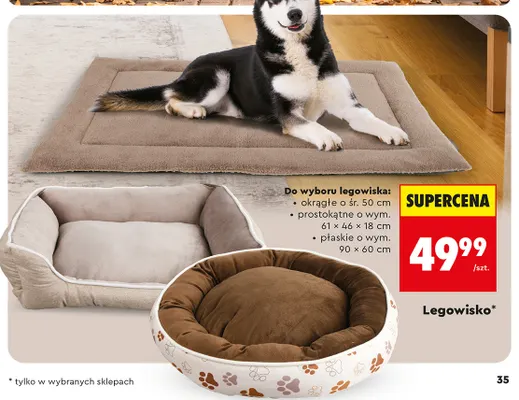 Legowisko płaskie o wym. 90x60 cm promocja w Biedronka