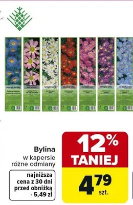 Bylina w kapersie różne odmiany promocja w Carrefour