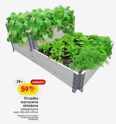 Grządka warzywna składana promocja w Castorama