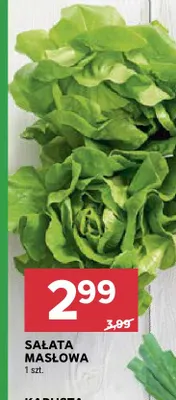 Sałata masłowa promocja w Stokrotka