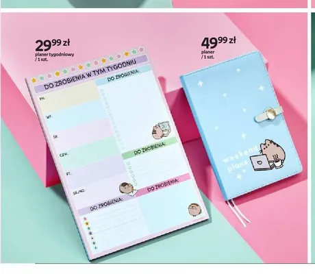 Planer Pusheen promocja w Empik