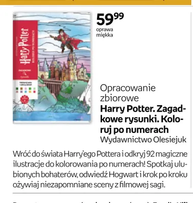Książka Harry Potter. Zagadkowe rysunki. Koloruj po numerach promocja w Empik