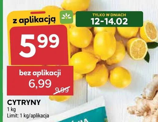 Cytryny promocja w Stokrotka