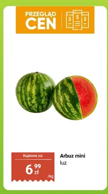 Arbuz mini luz promocja w Dino