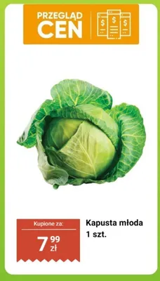 Kapusta młoda 1 szt. promocja w Biedronka