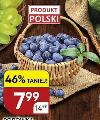 Borówka amerykańska polska promocja w Chata Polska